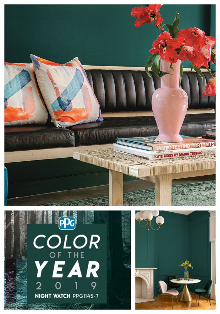 2019-color-of-the-year-PPG-nightwatch-700×1000